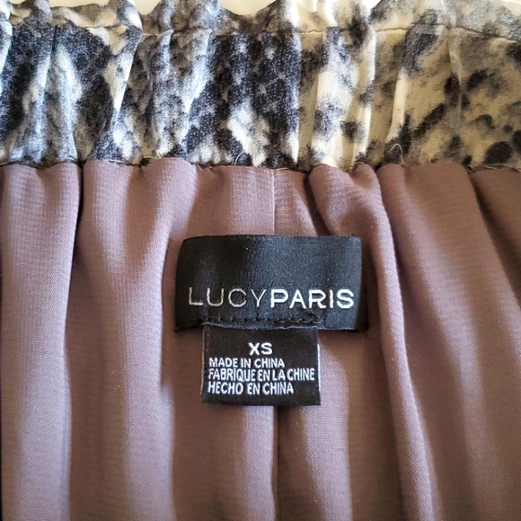 💗Host Pick💗 Lucy Paris Pleated Skirt Size XS - Picture 7 of 9